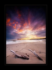 ,Dan Holmes