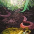 Toad