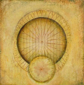 Untitled-_wheel-lotus_-for-
