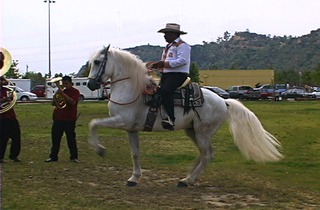 Vaqueros,Stephanie Allespach