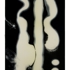 Confession_33x77_w_white_border