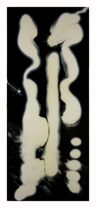 Confession_33x77_w_white_border