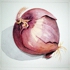 Red_onion_2009