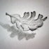Oak_leaves_detail__jan_01_003