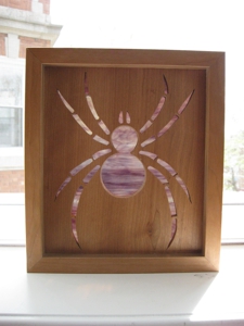 Spider