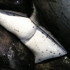 Details-15