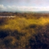 Alvisobaylands1