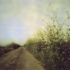 Thepath