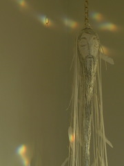 "Dream Weaver Abraham",Mindy Schwartz