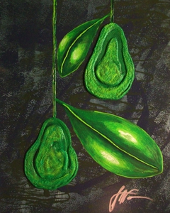 Infant-avo
