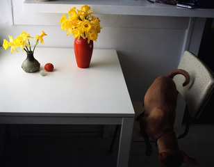 Chloe and still life,Katrina Umber
