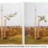 Demonstrations_trees_2_