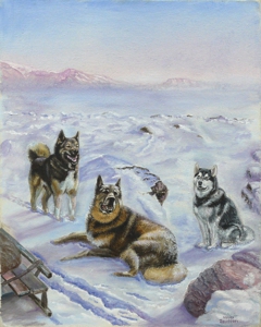 Behind_polar_circle