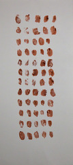 Practice (Lovers),Elyse Graham
