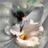 Source_of_hope