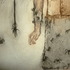 Dscf0755
