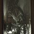 Junglemachine-windowview