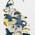 Pygmypalm11