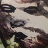 Img00196-20091111-1725
