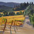 Slanted_hillside_vineyard_22x28_c_2008_milligan