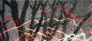 Tree Fantasy #2,Rosalind Schneider
