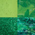 Green_weblisting_img