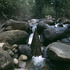 Ag_146-06_hg9290