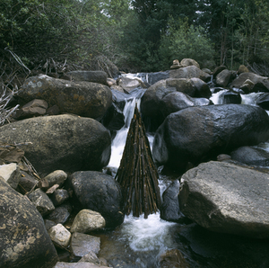 Ag_146-06_hg9290