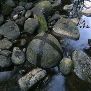 Ag_158-06_hg9294
