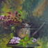 Old_watering_can
