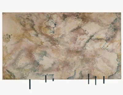 Shapeimage_1
