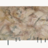Shapeimage_1
