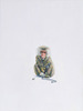 Monkey-_glove_