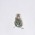 Monkey-_glove_