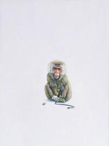 Monkey-_glove_