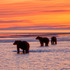 _a8w2661_master_v5_30x40_final_view