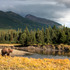 _s9o3565_master_v5_32x40_final_view