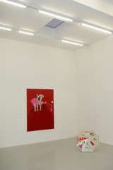 Installation view,