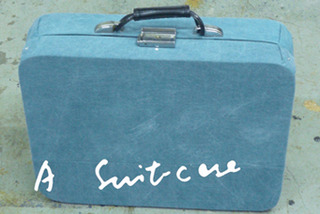 Suitcase,Lee Kit