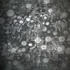04black_flash