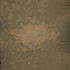 Veil_by_haley_nagy
