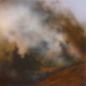 Fields_containment2_w