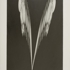 06_untitled_00026_2007_22x30