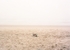20_beachchart