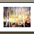 My_aspens_2004_new__2_