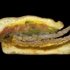 Tommys_flat_1800px