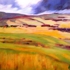 _1_pampas_oil_on_canvas_18h_x_24w_x_1d