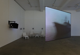 First statements and then some...,Dara Birnbaum