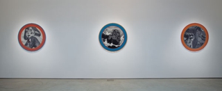 First statements and then some...,Dara Birnbaum