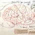 Brain2